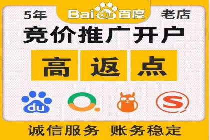 sem百度竞价实战：成功案例解析
